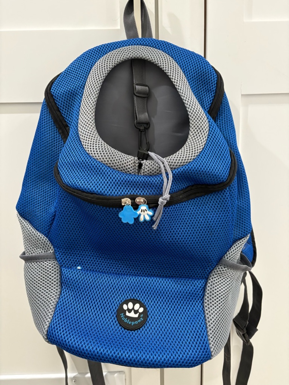 Blue Pet Carrier Backpack
